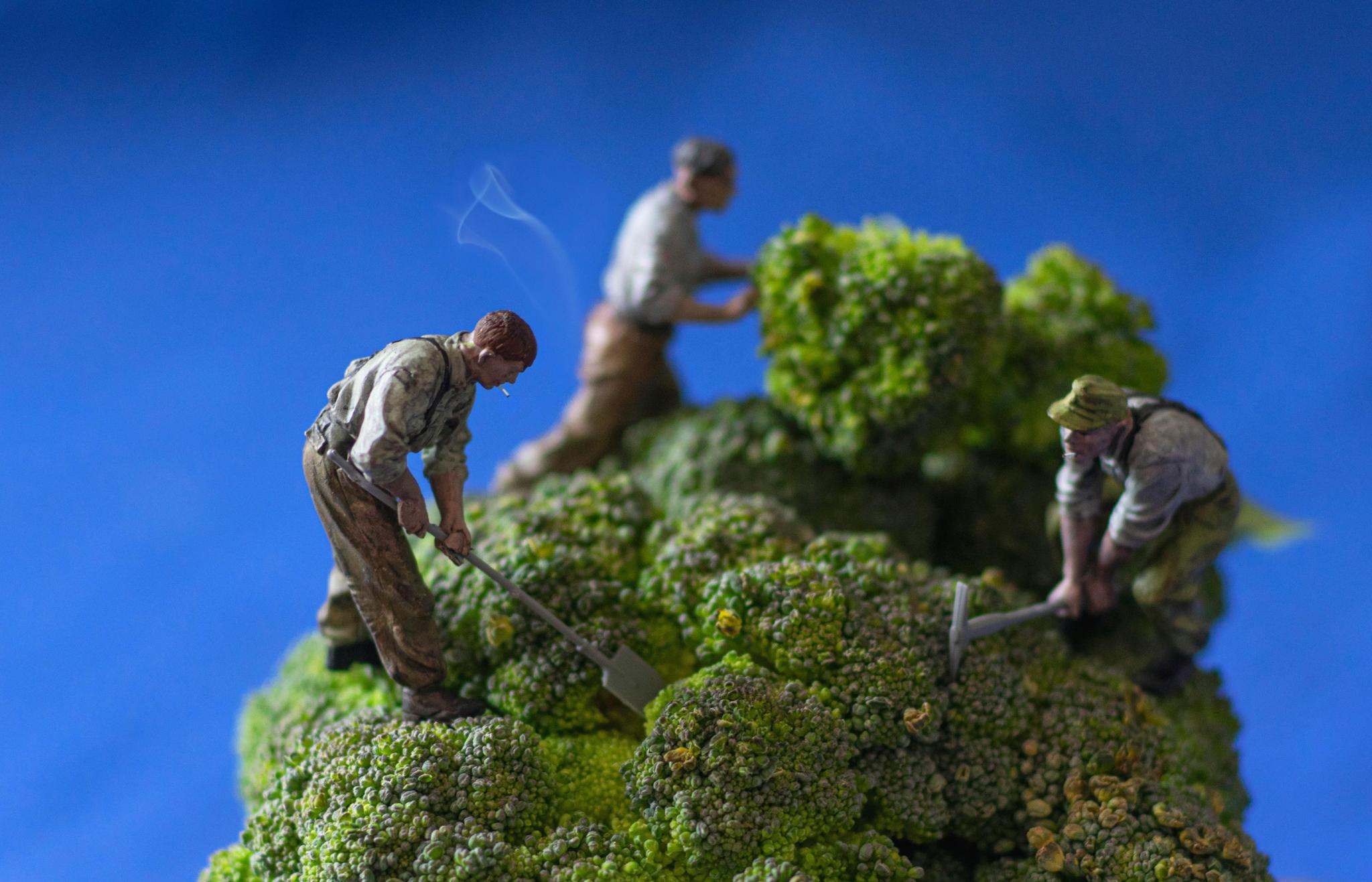 Minenarbeiter-Miniaturen auf einem übergroßen Brokolli