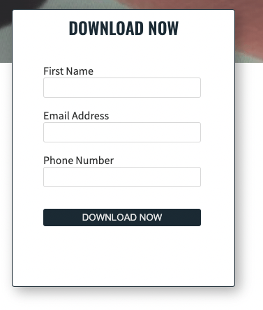 Downloadformular mit Abfrage von First Name, Email Address und Phone Number